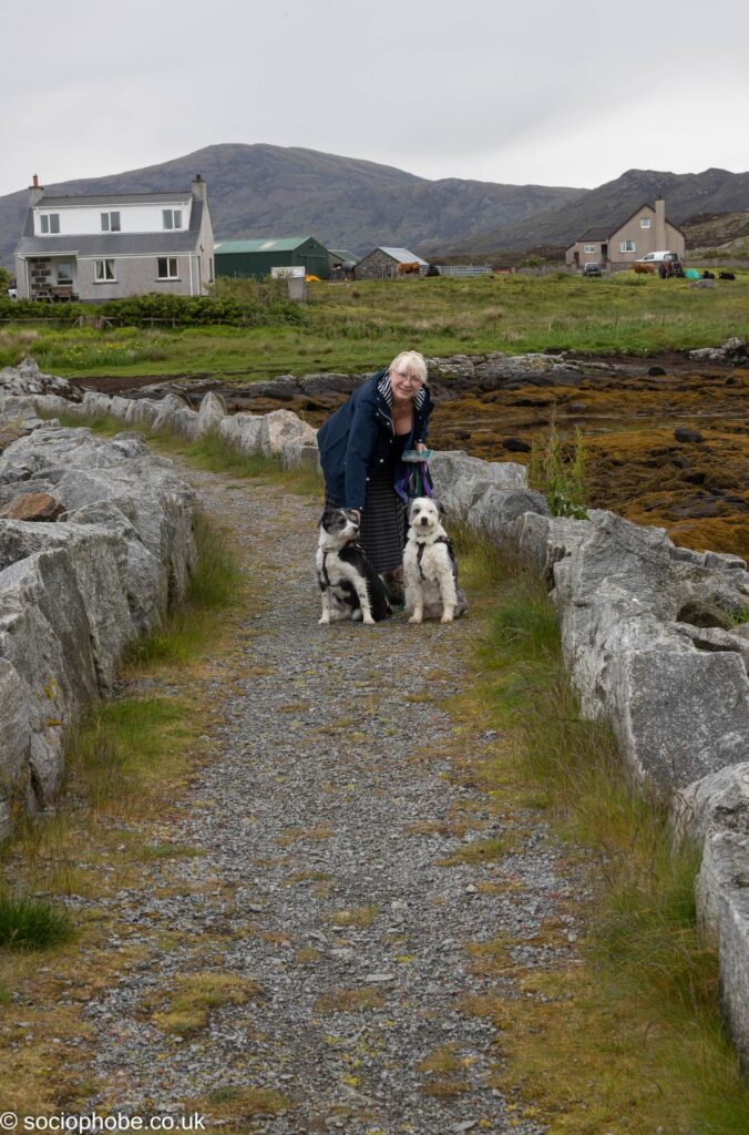 Lochboisdale harbour area