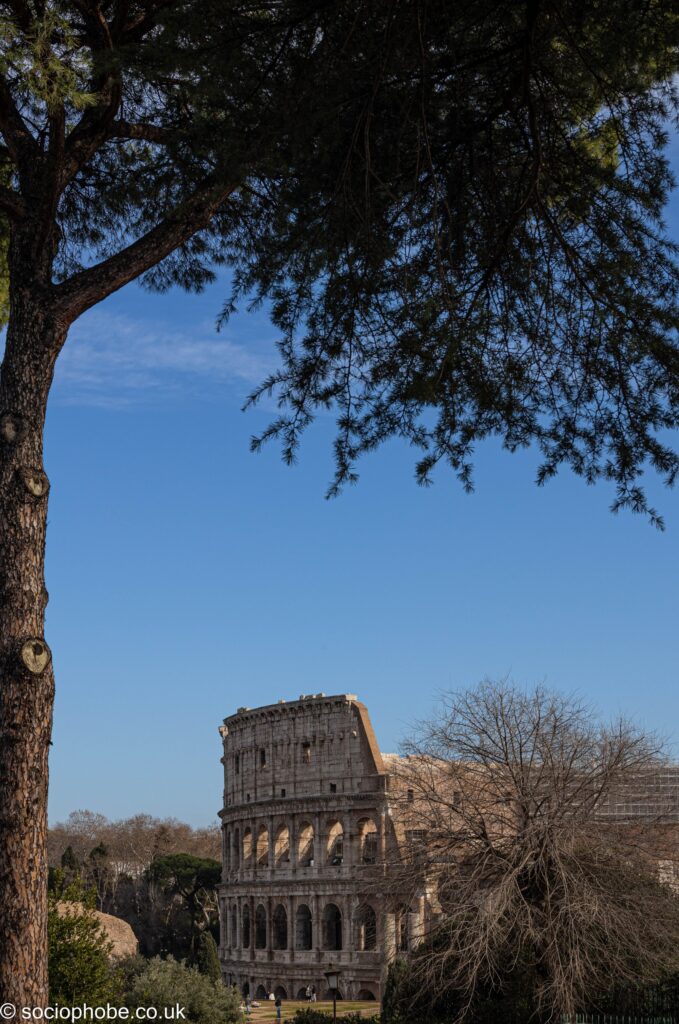 View of the Colosseum